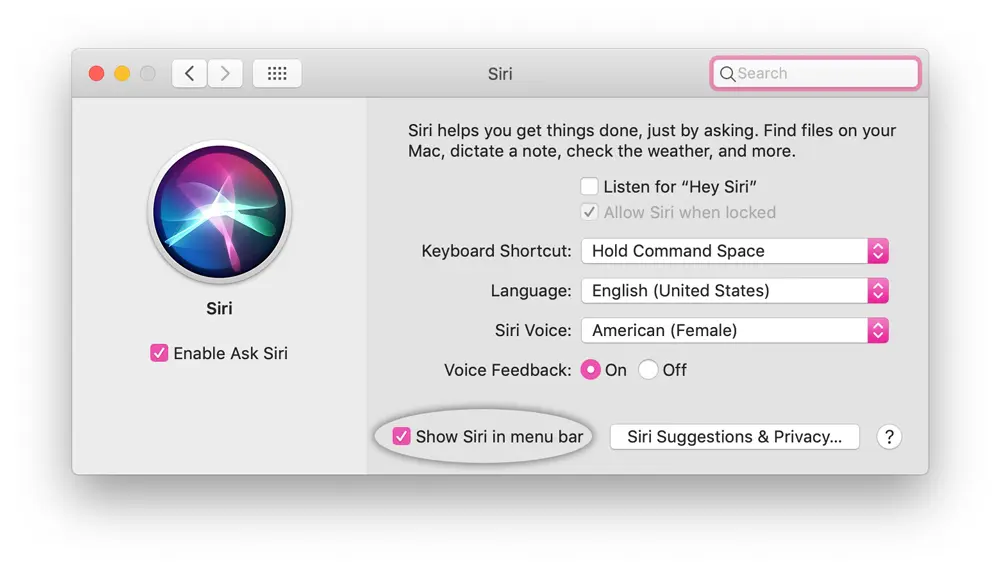 remove-siri-menu-bar