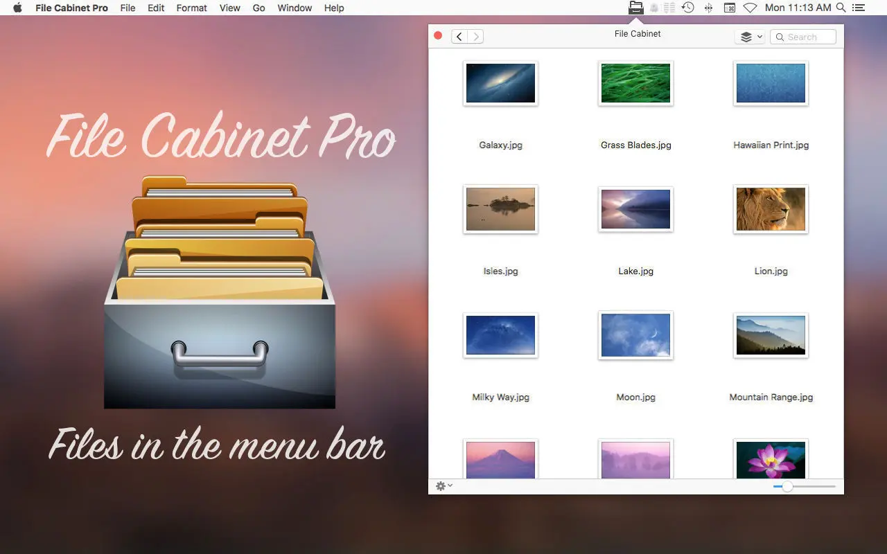 file-cabinet-pro