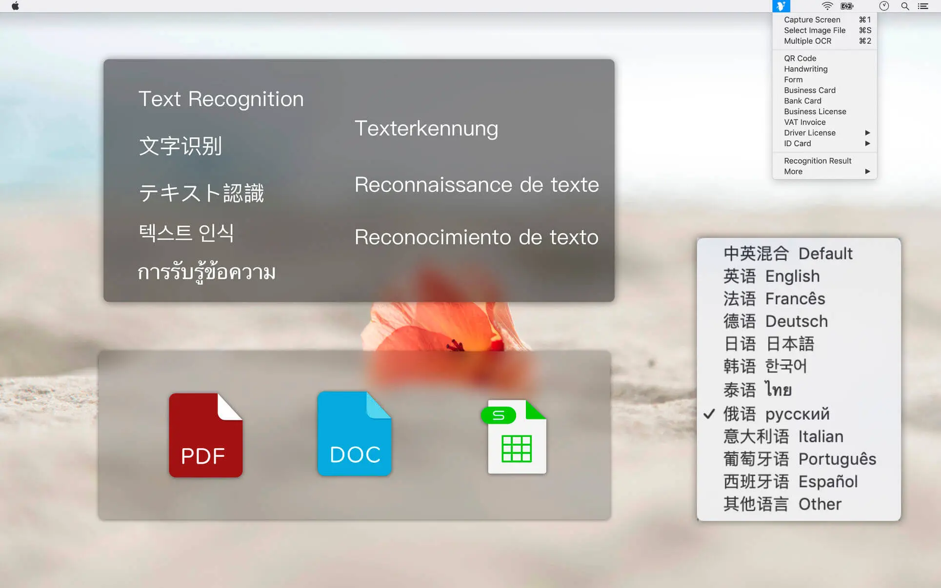 text-scanner
