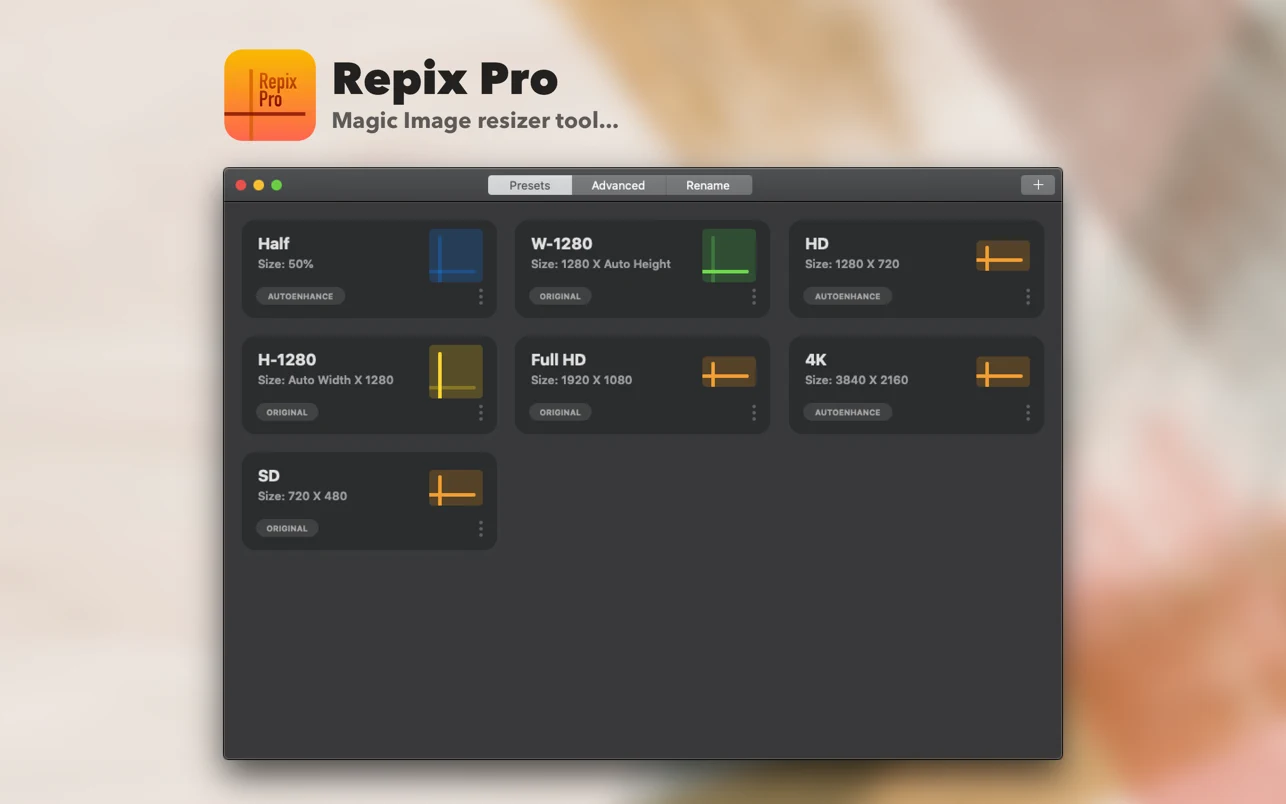 repix pro 2 1